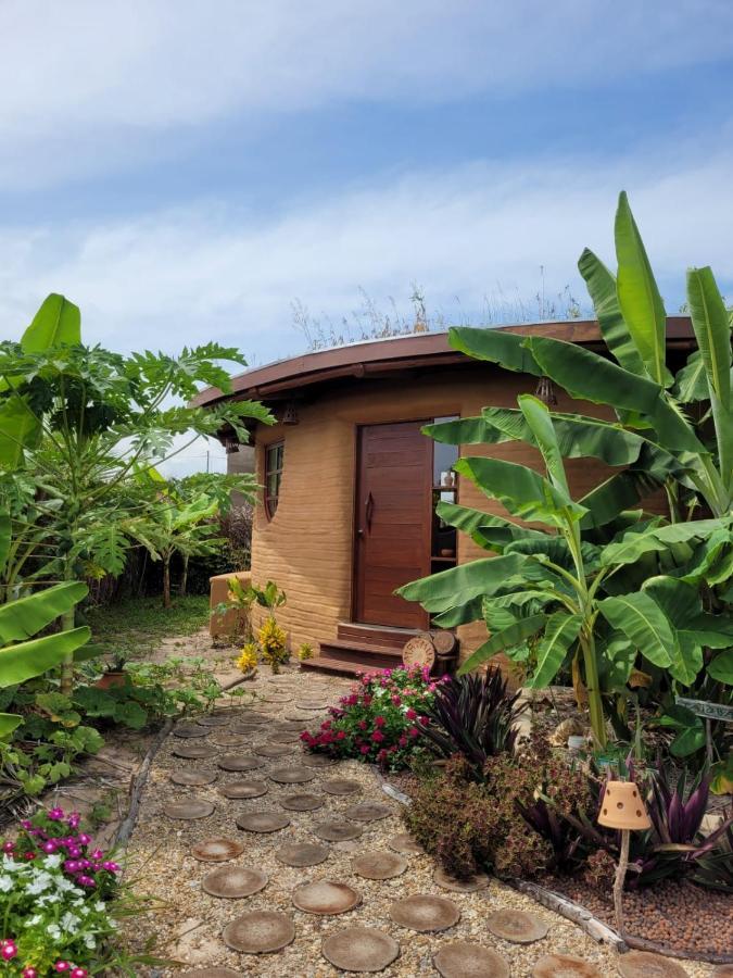 Вилла Eco Loft Maymuna: Seu Loft Ecologico Pertinho Da Praia Порту-ди-Педрас Экстерьер фото